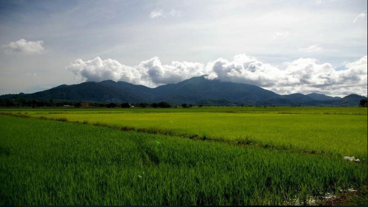 Barakah Homestay Алор-Сетар Экстерьер фото